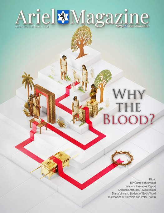 Why the Blood