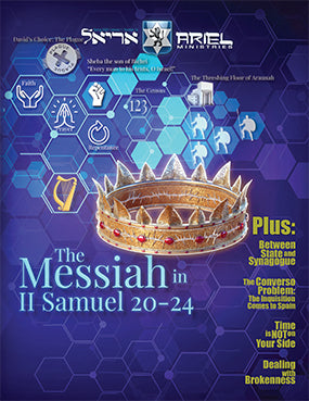 THE MESSIAH IN II SAMUEL 20-24