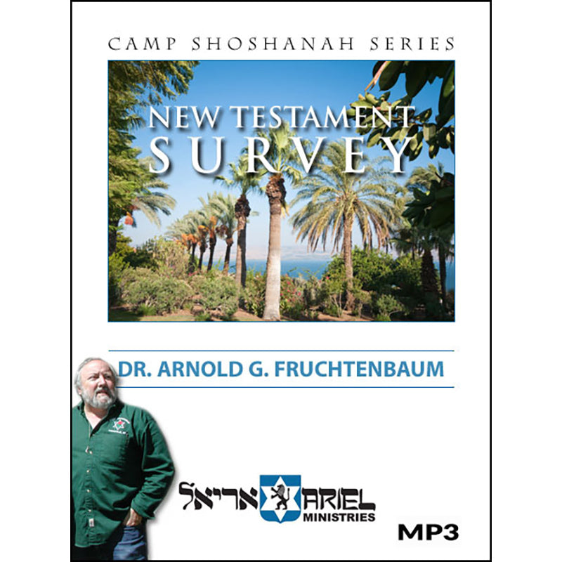 New Testament Survey - MP3